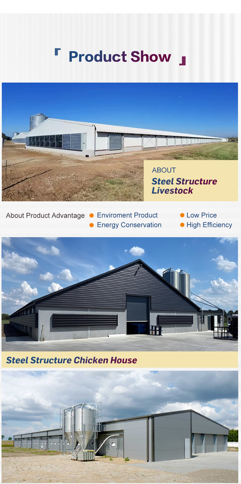 Modern Lightweight Metal Frame Building Poultry Farm Structure