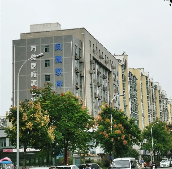 Cree Chips Waterproof LED Street Lights Compact Surface Mounted Exchangeable Adaptor