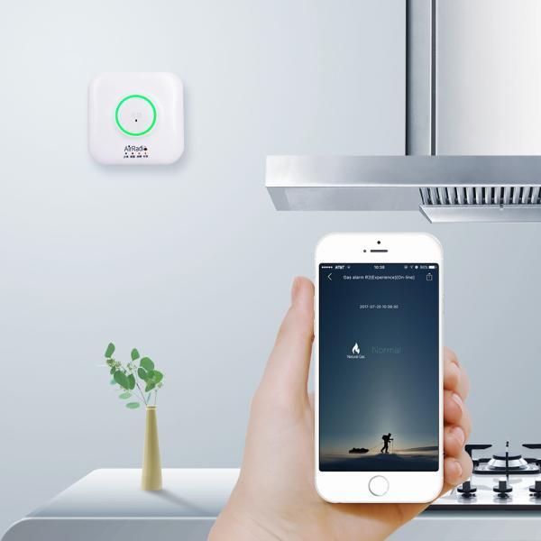 Natural Gas Methane Leak Detector Alarm Through Visual Audiable Message