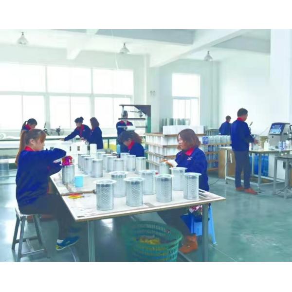 IATF16949 G015 LOVOL Excavator Hydraulic Pilot Filter