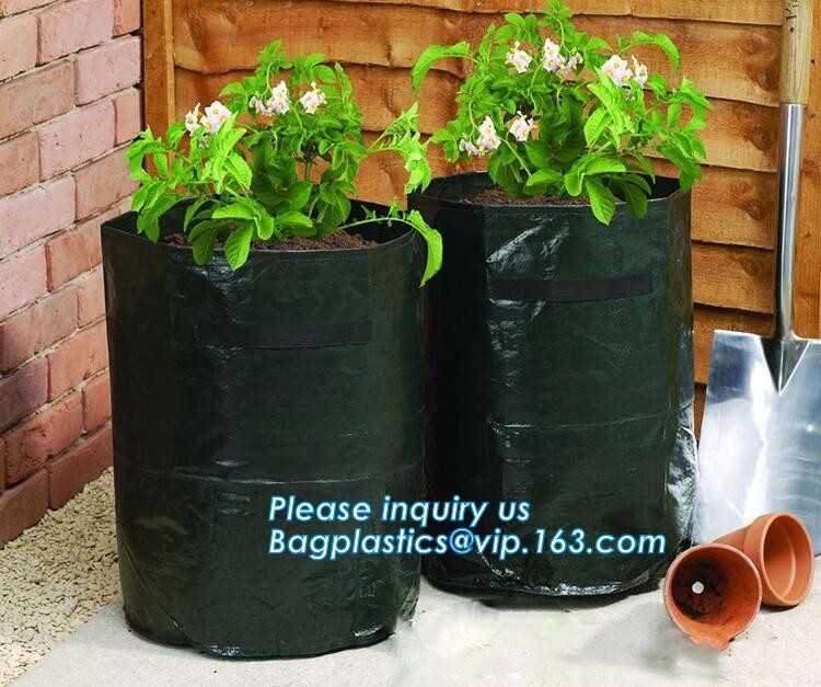 customized waterproof green pe car protector,environmental firendly, car boot liner, reusable, durable,economical,sample