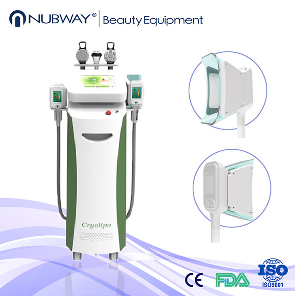 Buy cheap Cryolipolysis Slimming Machine / cryolipolysis Fat Freezing / zeltiq Cryolipolysis Machine product