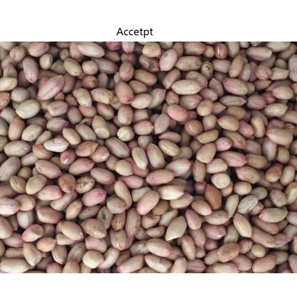 16tph RGB Camera Peanut Color Sorter