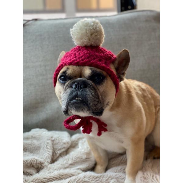 Y-Z Dog Clothing Accessories Handmade Dog Beanie with Pom Pom Crochet Knit Dog Hat Gift