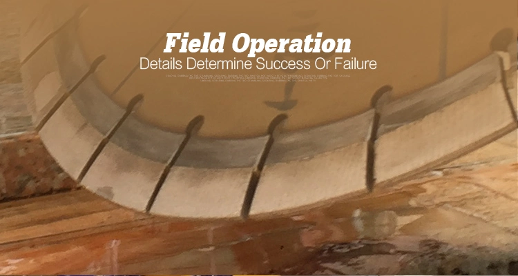 1600mm Diamond Cutting Segments-Sandstone Cutting Saw Segment