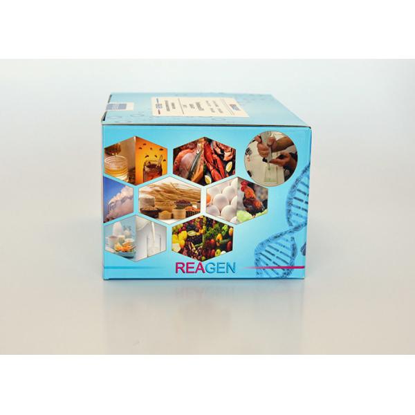 Betamethaone ELISA Test Kit , High recovery , High sensitivity , Rapid ELISA