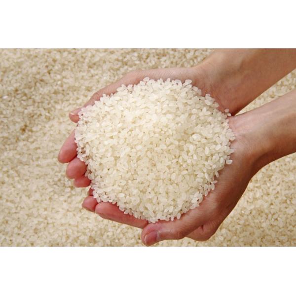 Basmatic Rice Sorting Machine