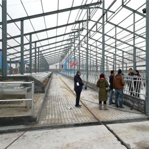 Buy cheap Light Steel Structure Cow Shed Prefabricated Steel Frame Farm Buildings product