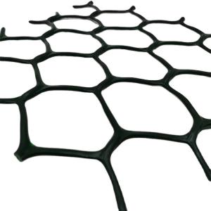 Roadbed and Tunnel Engineering Green HDPE Geonet with Anti-Ultraviolet