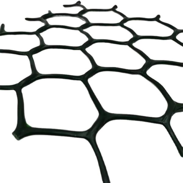Roadbed and Tunnel Engineering Green HDPE Geonet with Anti-Ultraviolet