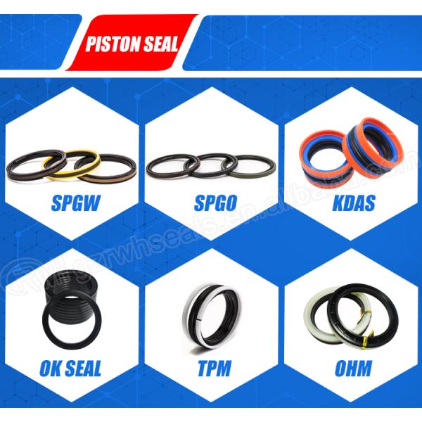 PTFE NBR Hydraulic Piston Seal SPGW Brown Color 3 Months Warranty