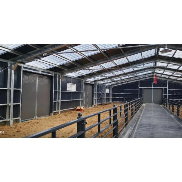 Customized Prefabricated Farm Buildings Easy Install Large Span Steel Buildings