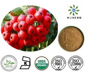 Buy cheap Brown Yellow Low Blood Pressure Hawthorn Berry Extract Powder product