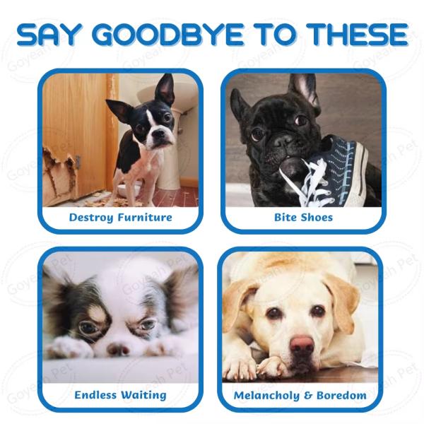 Rubber Pet Training Products 3 In 1 Dog Food Puzzle Toys Dog Nail File Scratch Board