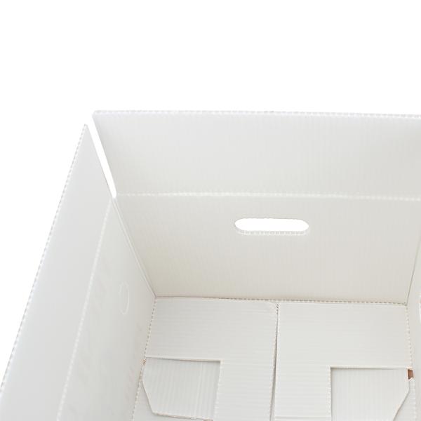 Luxury Folding Custom Corrugated Shipping Boxes