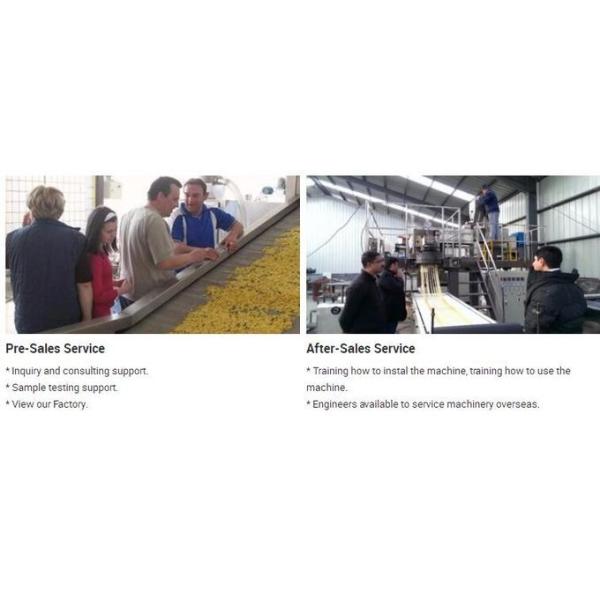 Smart dog food extruder pet food production line