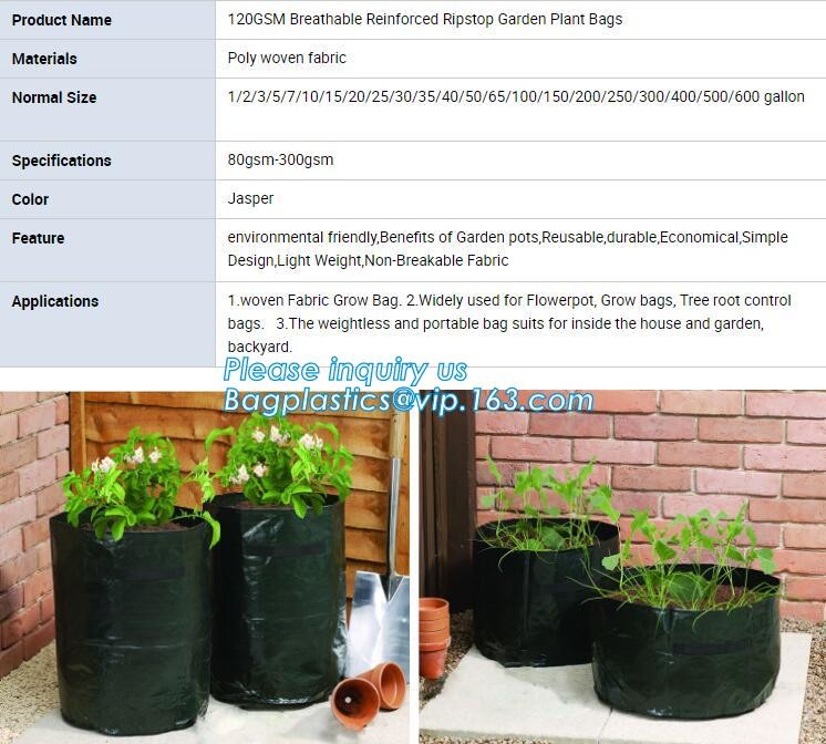 customized waterproof green pe car protector,environmental firendly, car boot liner, reusable, durable,economical,sample