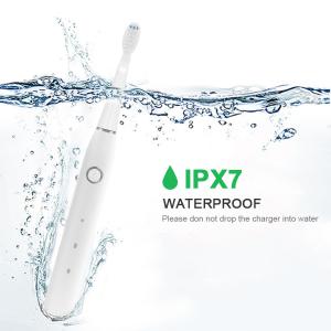 Buy cheap Slim Portable Sonic Automatic Toothbrush 500mAh Wear Resistant product