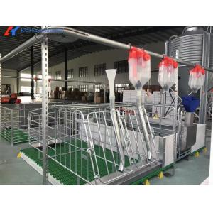 Customized High Strength Pig Feeding System For Livestock Piglet