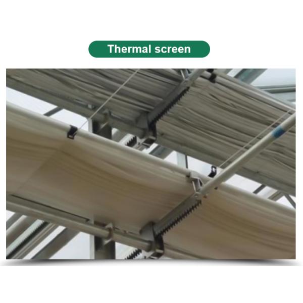 Greenhouse Multi Span Agriculture Polycarbonate Greenhouse for Optimal Air Flow