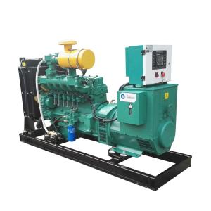 Biogas Electric Generator Biogas Power Engine Generator