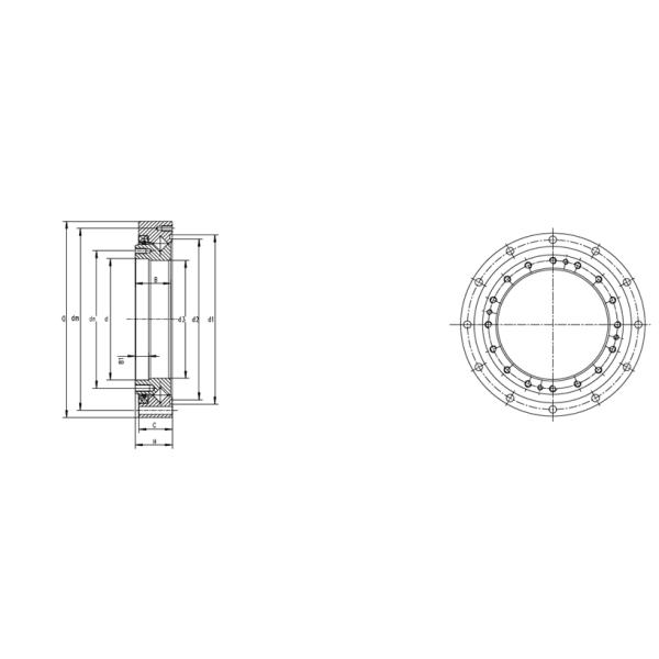 SHF SHG Harmonic Reducer Bearings Special Bearing For Robot