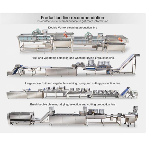 Washing and juicing production line Fruit Orange Leaves Vegetables sward beans soybeans processing production Machine