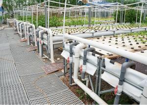 Buy cheap Auto Circulation PH Stable Dwc Grow System Deep Water Hydroponics product
