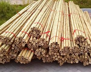 Buy cheap Garden Furniture Natural  Bamboo Poles Stakes Straight For Garden Plant Length 16cm product