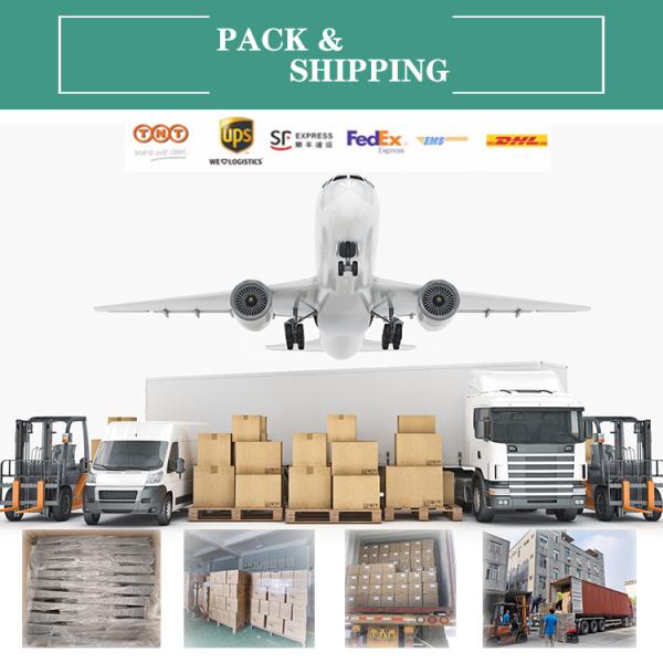 Custom Folding PET PVC Plastic Box Printing Hanging Acetate Packaging Boxes