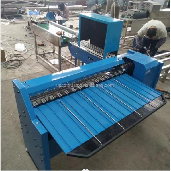 Automatic Small Scale Egg Grading Machine Weight Classify Sorter 200w For Farming