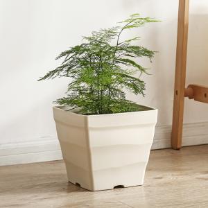 Buy cheap 25x25cm Quadrate Polyresin Square Recycling Plastic Nursery Pots product