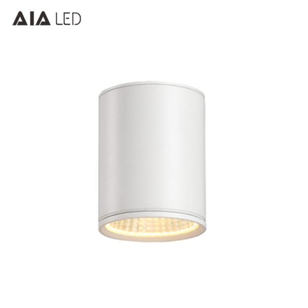 30w led downlight&led downlight surface mounted&ip65 surface mount led downlight