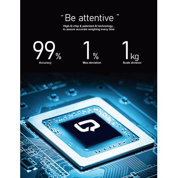 Automatic Forklift Fork Scales System 5000kg Agricultural With 4 Digits forklift scale system