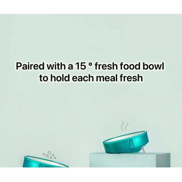 Elegant Disposable Tableware Bowl for Cats Dogs and Environmentally Responsible Owners