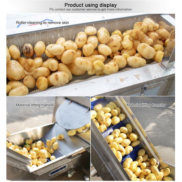 Brush washing and hoisting production line Ginger Potato Carrot Taro Sweet potato Yam processing production Machine
