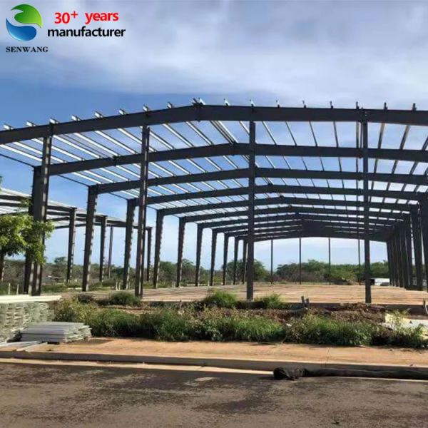 Steel Structure Warehouse with Angle Bracing 50x50mm Galvanized Frame