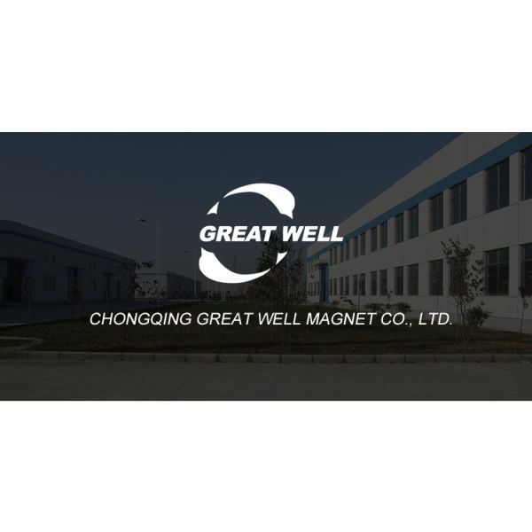 Ferrite Rotor Magnet