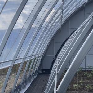 Maximize Your Produce Yield with this Large Hydroponics Vegetable Sunlight