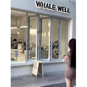 Folding Windows Zurich | Swiss Precision Engineering