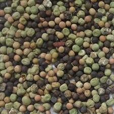 220V / 50Hz Wenyao Color Sorter Machine For Coffee Bean Cherry