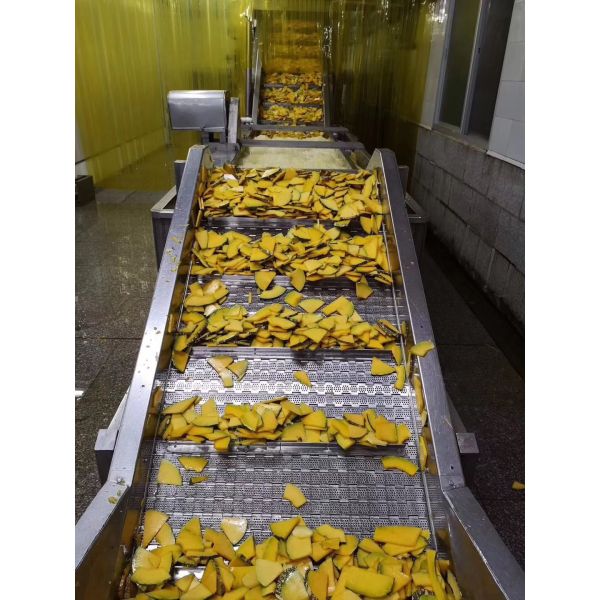 Touch Screen 380V/220V Vacuum Fried Chips Machine , Continuous Vacuum Fryer