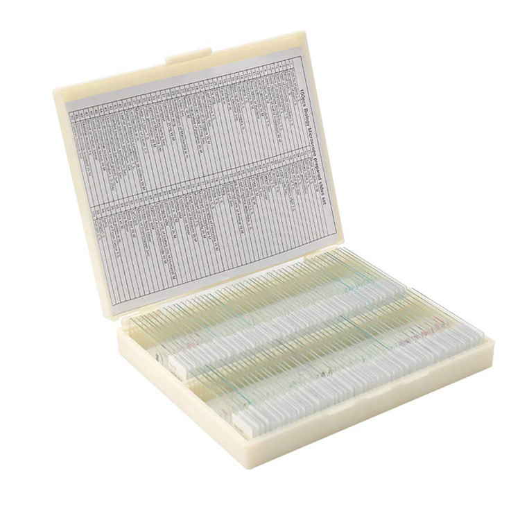 School Teaching 100 Pieces Plastic Box OEM Botany Microscope Slides