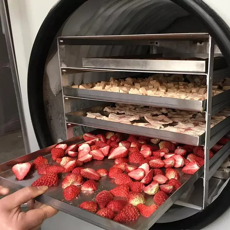 Pet 1500W Pet Freeze Dryer Strawberry Banana Apple Stainless Steel Machine