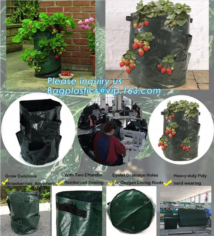 customized waterproof green pe car protector,environmental firendly, car boot liner, reusable, durable,economical,sample