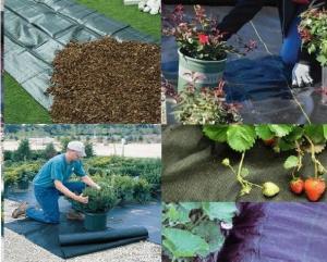 Buy cheap 1-6 Metere width black  color garden weed control killer fabric supplier with best price by sincere factory product