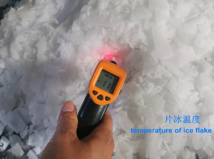 10t/24h Freshwater Flake Ice Machine