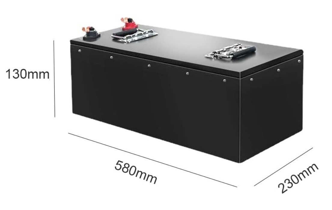 48V 100Ah LiFePO4 Lithium Battery 3000+ Deep Cycle With BMS Backup Power For E Tricycle Electric Car