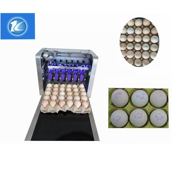 High Efficiency Egg Date Stamp Machine , Small Date Format Egg Spraying Machine