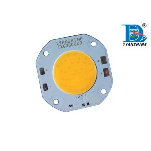 5600K COB White LED Module